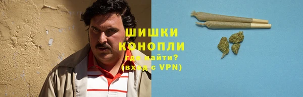 хмурый Лагань