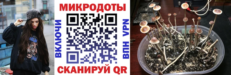 Галлюциногенные грибы Cubensis  Цивильск 